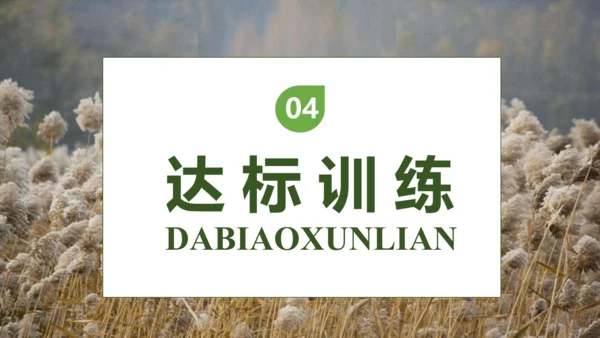 【核心素养】部编版语文四年级下册-21.芦花鞋（课件）