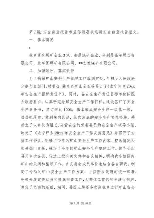 安全自查报告（共7篇） (11).docx
