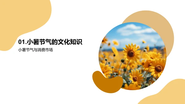 小暑盛夏营销