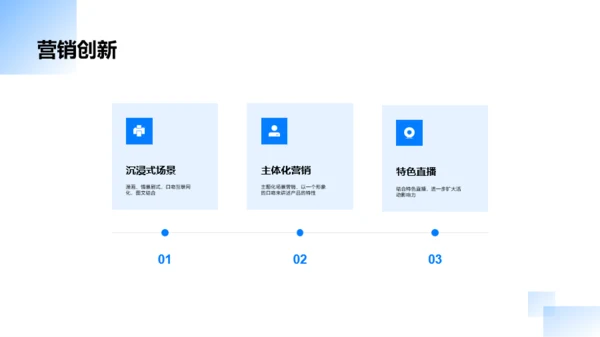 蓝色商务品牌合作策划PPT案例