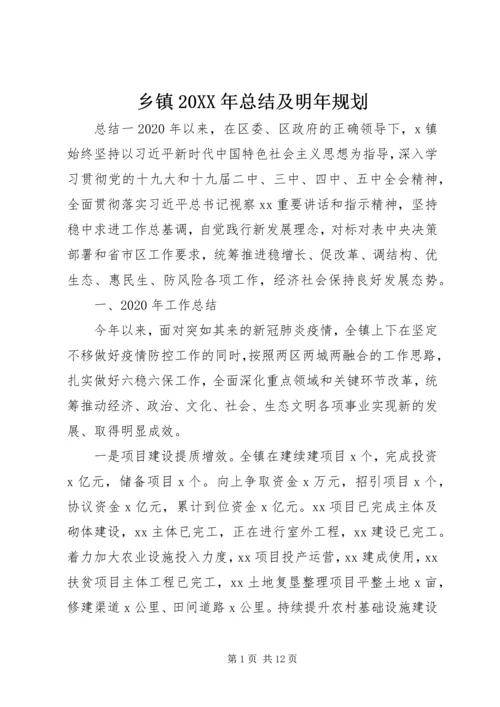 乡镇某年总结及明年规划.docx