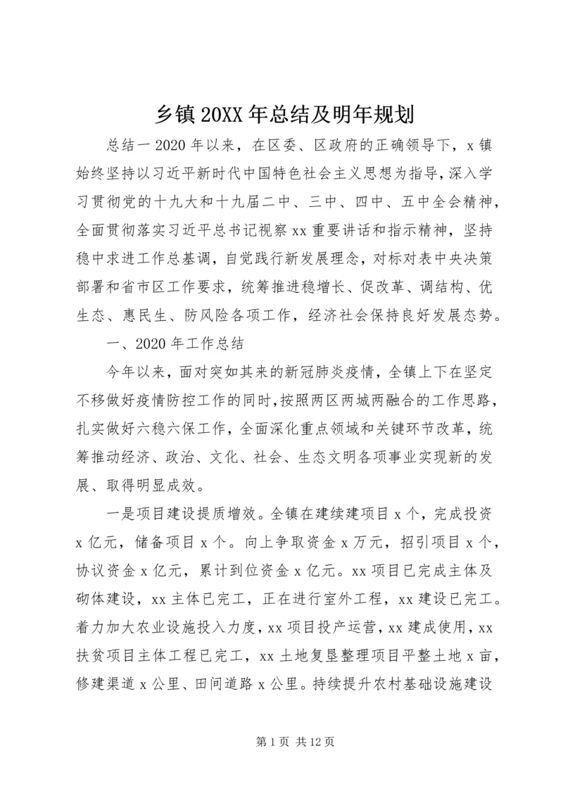 乡镇某年总结及明年规划.docx