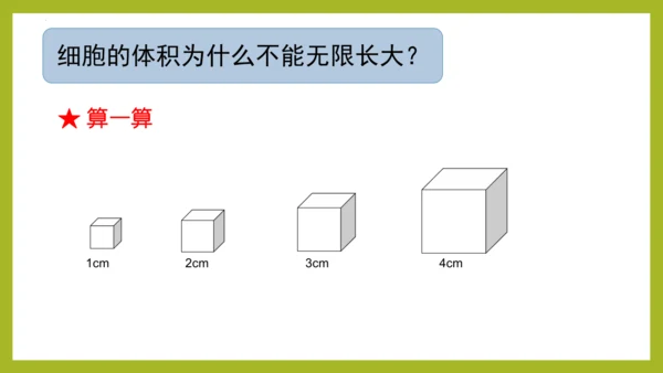 2.2.1细胞通过分裂产生新细胞课件2023--2024学年人教版生物七年级上册(共28张PPT)