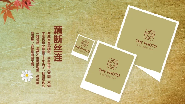 怀旧风格20年同学联谊会PPT模板