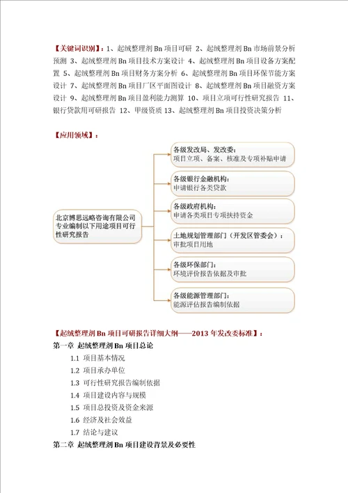 起绒整理剂Bn项目可行性研究报告评审方案设计2013年发改委标准案例范文