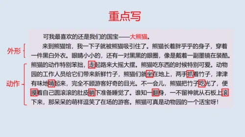 部编版四年级语文上册 习作例文2《小木船》 课件