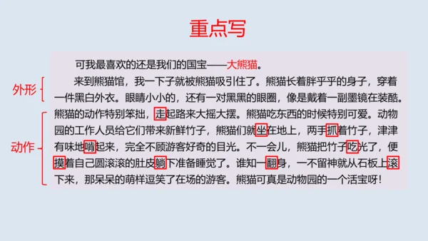 部编版四年级语文上册 习作例文2《小木船》 课件