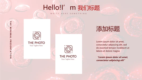 红细胞血小板动态PPT