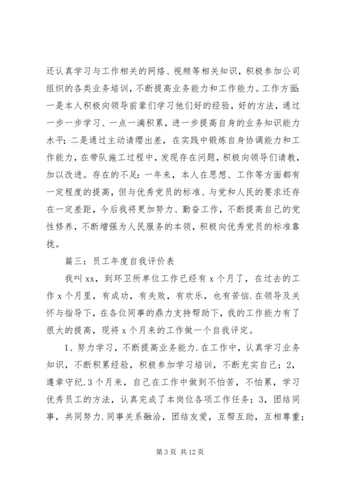 公司年度自我评价范文.docx