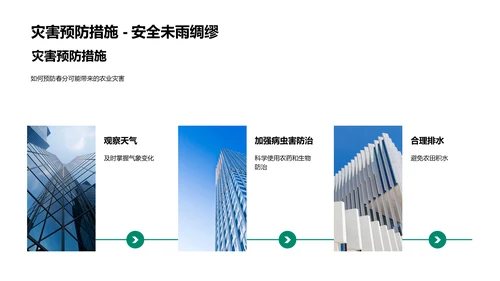 春分农事应对策略PPT模板