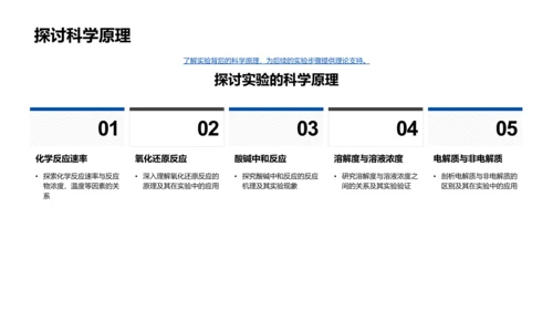 化学实验解读报告