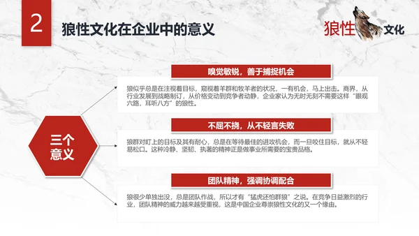 团队企业文化狼性文化员工培训PPT