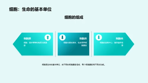 3D风教育培训教学课件PPT模板
