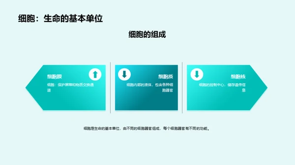 3D风教育培训教学课件PPT模板