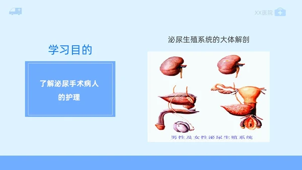 蓝色插画风泌尿外科护理护士医学培训PPT课件