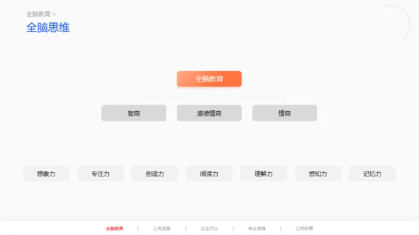 橙色早期全脑儿童教育项目说明会PPT案例