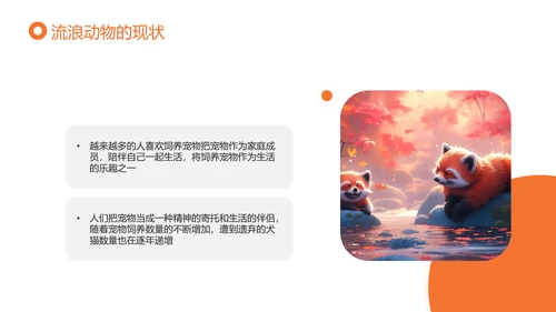 关爱流浪动物，流浪猫PPT模版