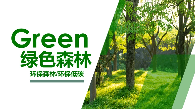 绿色森林湿地环境保护生态森林森业PPT模板