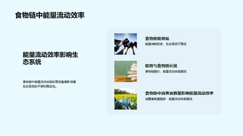 深度解析食物链