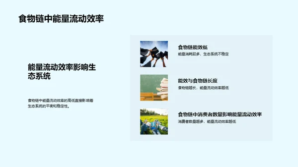 深度解析食物链