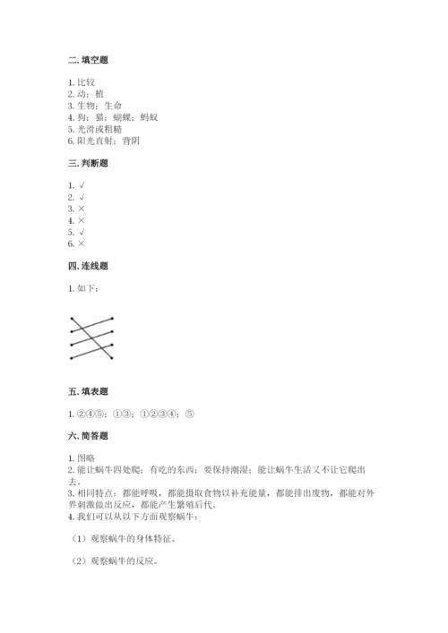 教科版小学科学一年级下册期末测试卷附答案【考试直接用】.docx