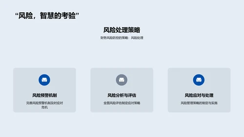 企业财务风险应对策略PPT模板
