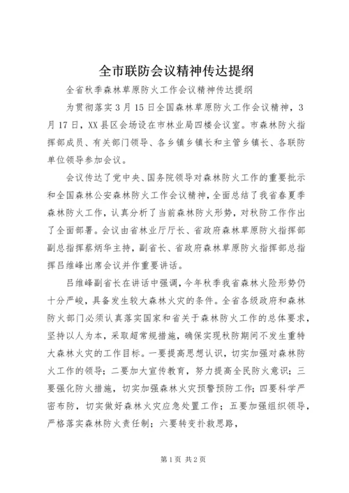 全市联防会议精神传达提纲.docx