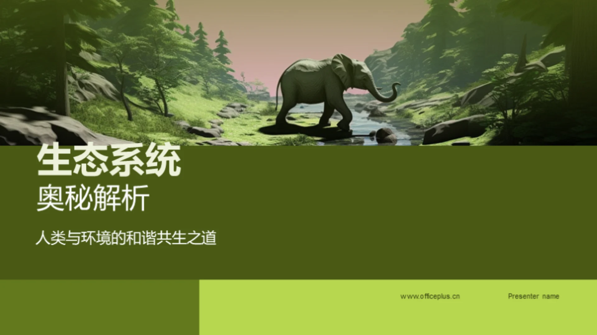 生态系统奥秘解析