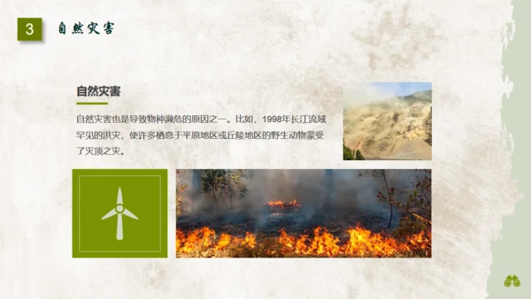 保护濒危野生动物通用PPT模板