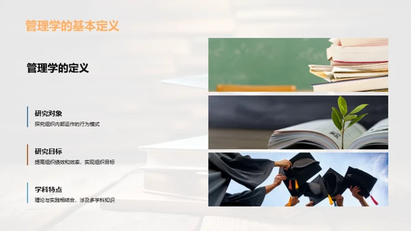 管理学：理论与实践
