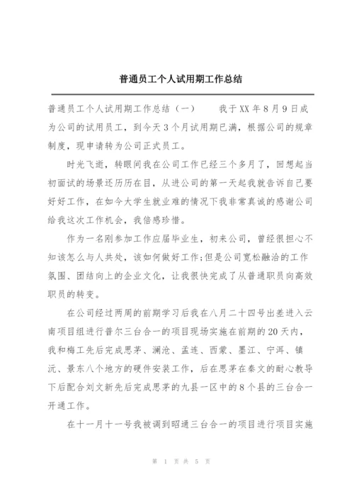 普通员工个人试用期工作总结.docx