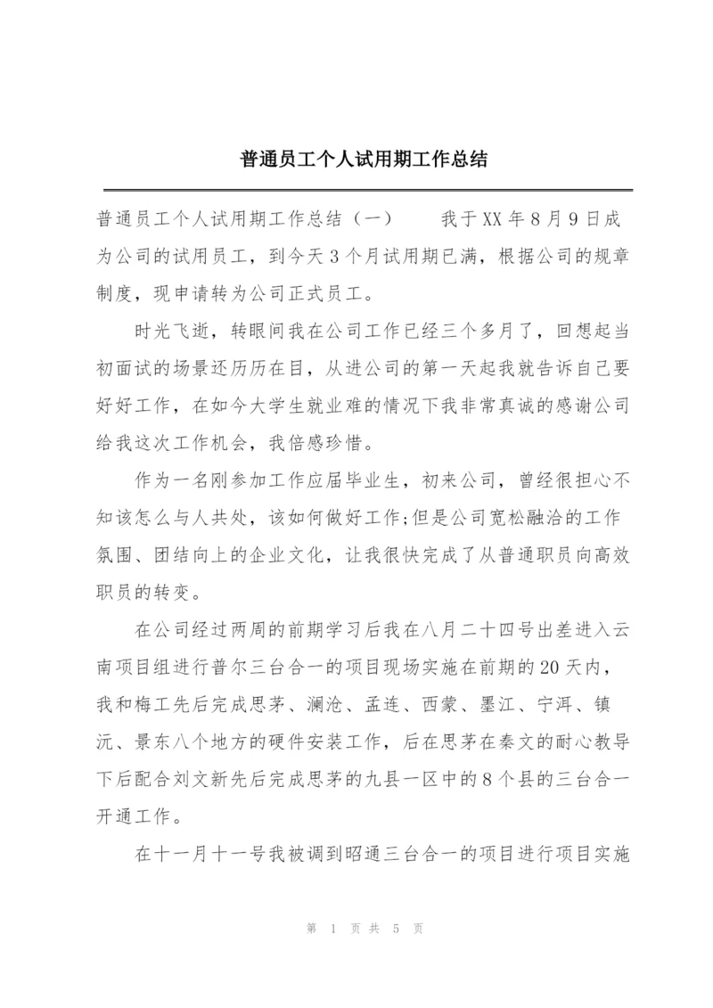 普通员工个人试用期工作总结.docx