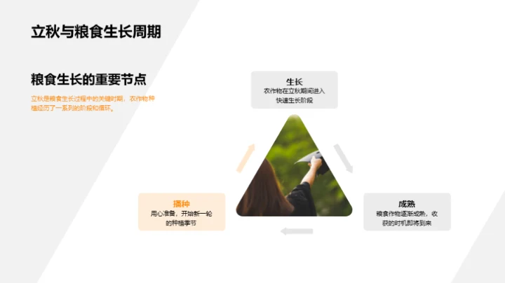 立秋季节与粮食种植