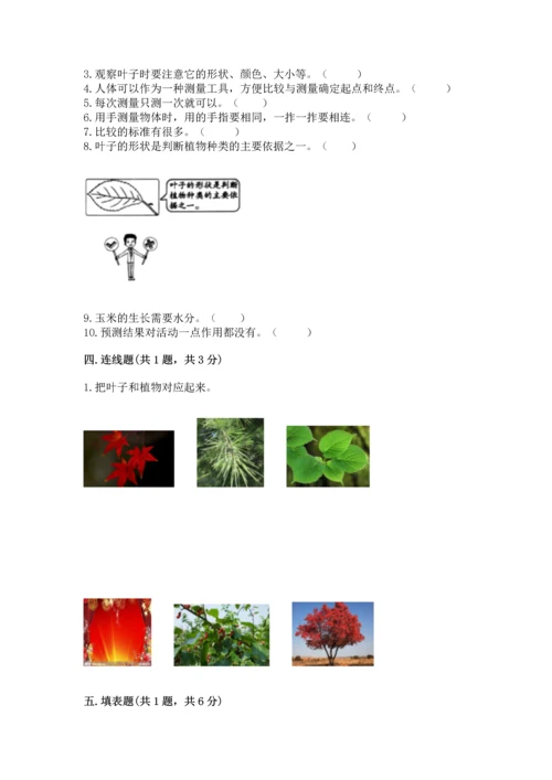 教科版一年级上册科学期末测试卷带解析答案.docx