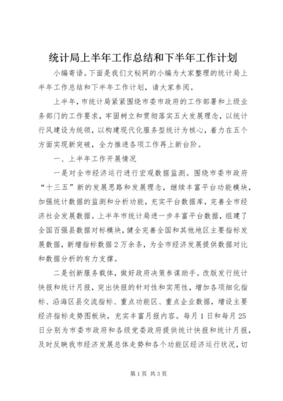 统计局上半年工作总结和下半年工作计划精编.docx