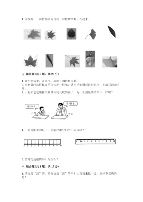 教科版一年级上册科学期末测试卷含完整答案（全国通用）.docx