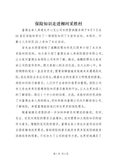 保险知识走进柳河采胜村_1.docx