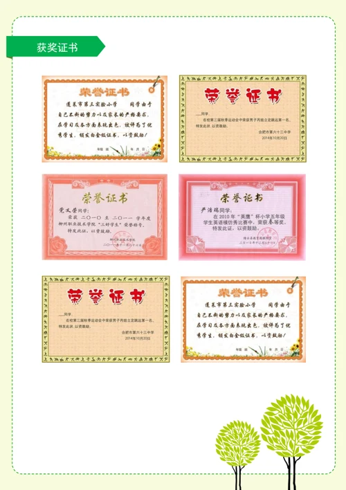 小升初学业成果展示简历