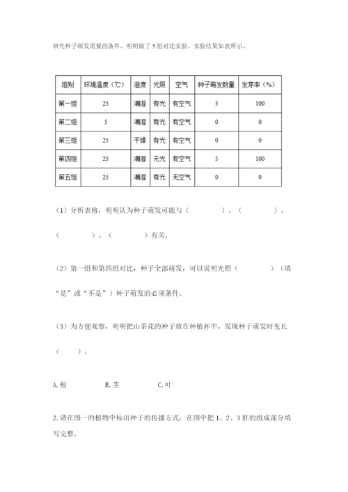 科学四年级下册第一单元《植物的生长变化》测试卷附参考答案【考试直接用】.docx