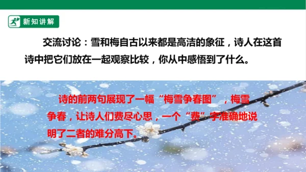 9. 古诗三首 第三课时 课件