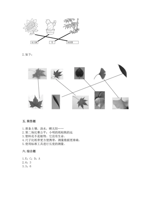 教科版一年级上册科学期末测试卷及参考答案（夺分金卷）.docx