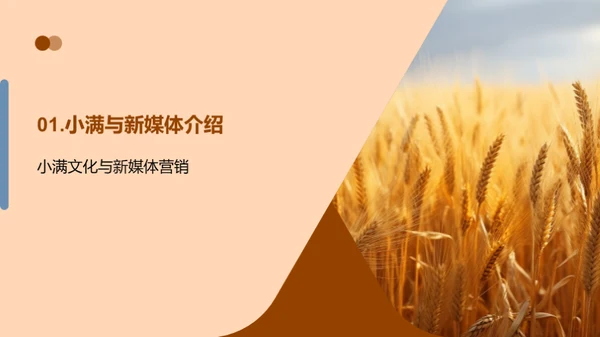 小满节气新媒传播