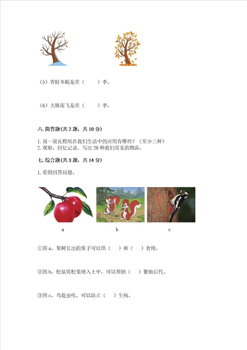 教科版科学二年级上册第二单元《材料》测试卷实验班