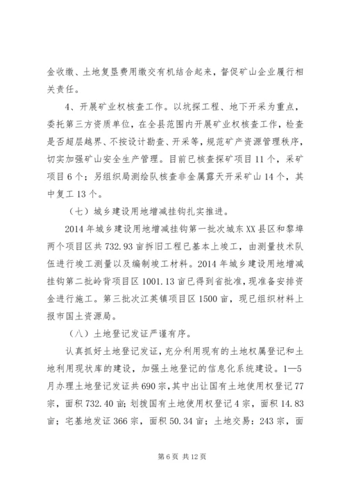 乡镇国土局上半年工作总结及下半年工作计划.docx