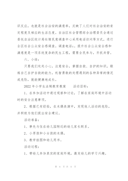 2022年小学生法制教育教案.docx