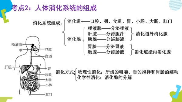 （人教七下复习）第一到三章复习