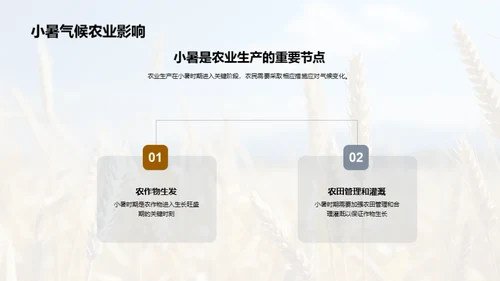 小暑气候与农业影响