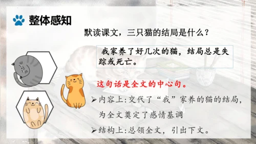 第17课《猫》课件(共25张PPT)