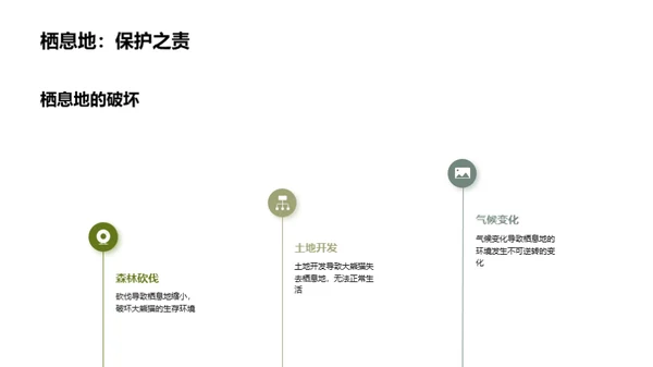 守护国宝：大熊猫保护行动