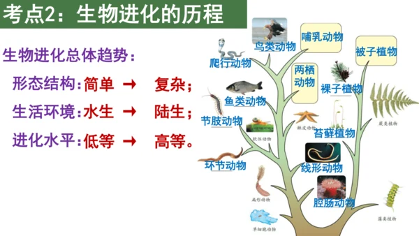 八下 第七单元复习课件(共58张PPT)